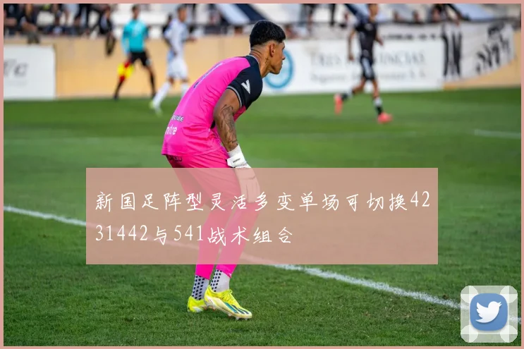 新国足阵型灵活多变单场可切换4231442与541战术组合